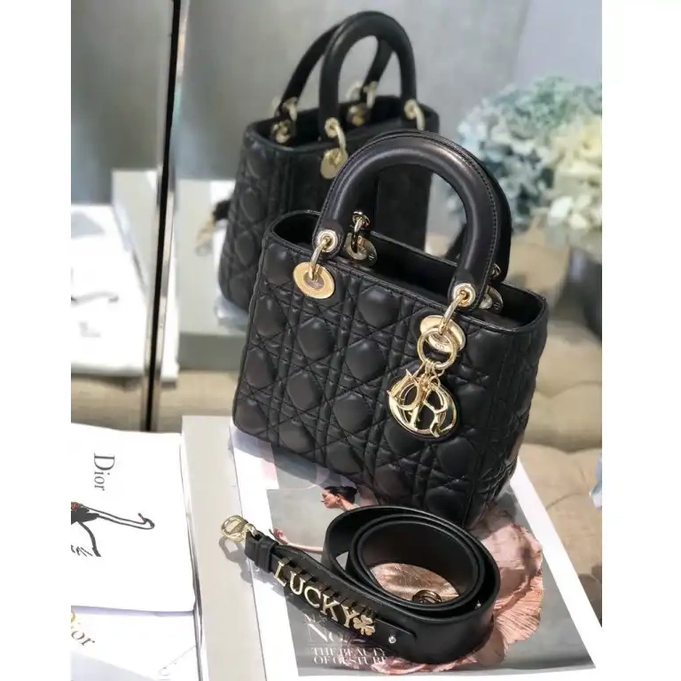 Fashionrep Bags 205fy0062 Dio 0622